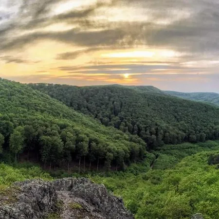 아파트 Hunor Vendeghaz *