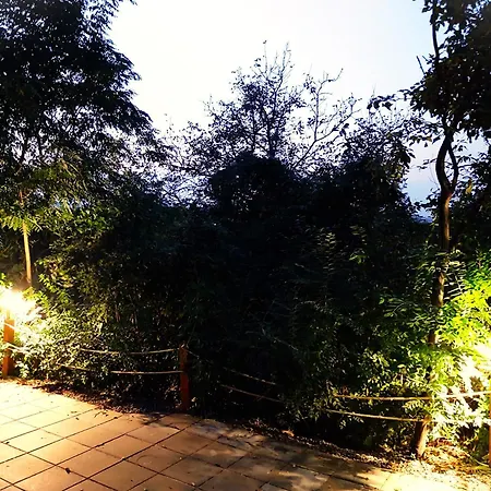 Hunor Vendeghaz 아파트