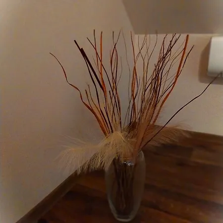 Hunor Vendeghaz 아파트