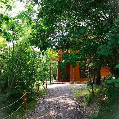 Hunor Vendeghaz 아파트 *